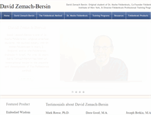 Tablet Screenshot of davidzemach-bersin.com
